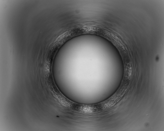 X0000100840710200806271112