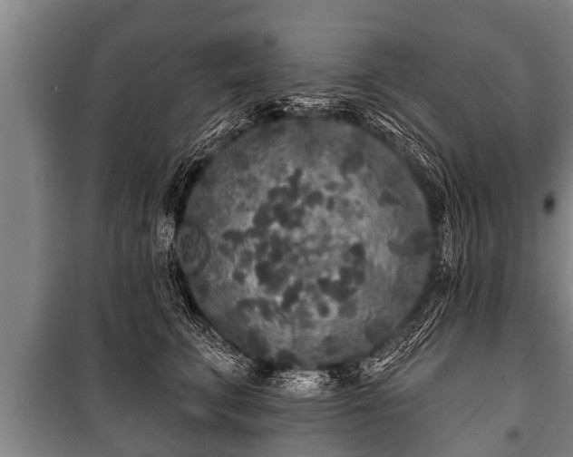 X0000100840711200806271112