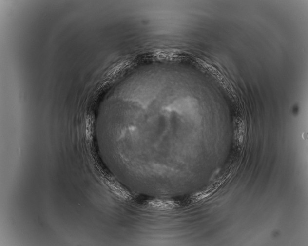 X0000100840712200806271112