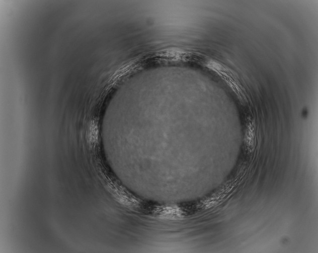 X0000100840715200806271112