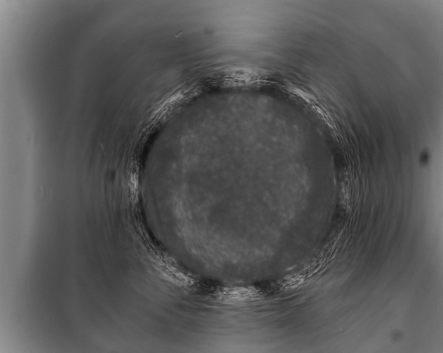 X0000100840716200806271112