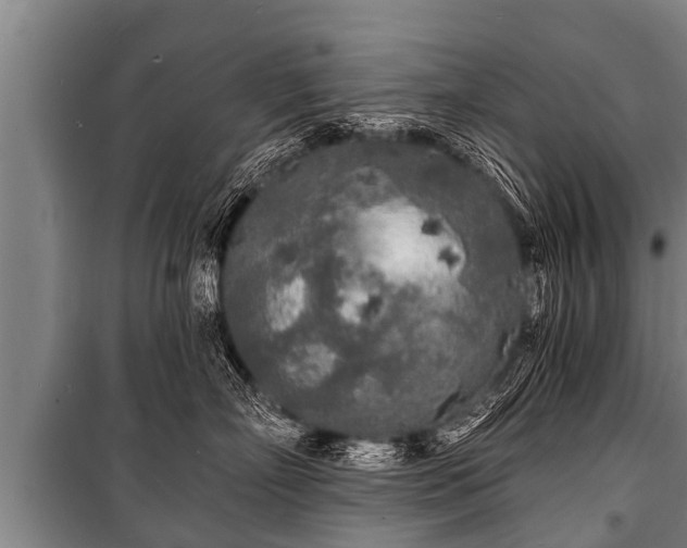 X0000100840718200806271112