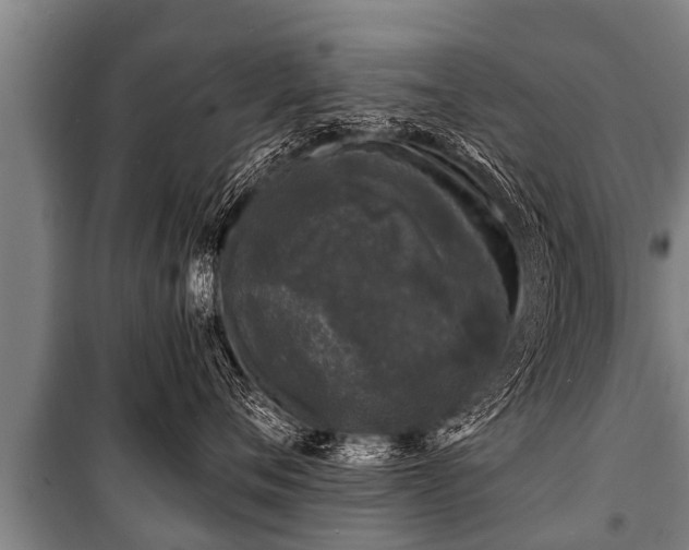 X0000100840720200806271112