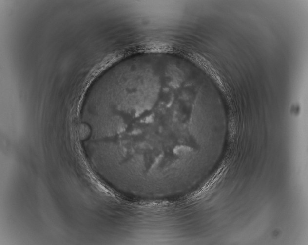 X0000100840721200806271111