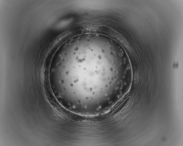 X0000100840722200806271112