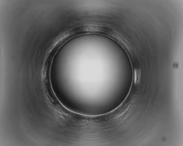 X0000100840723200806271112