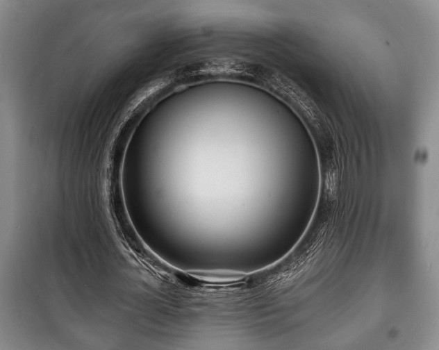 X0000100840724200806271112