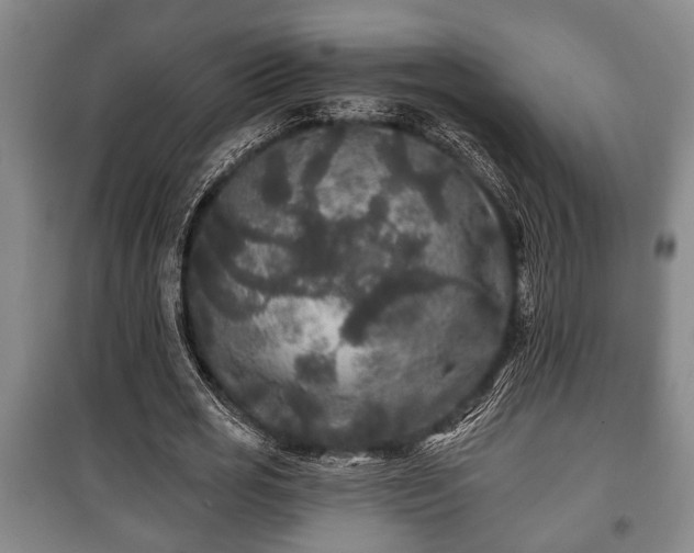 X0000100840725200806271112