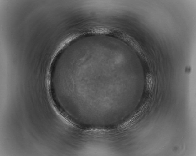 X0000100840726200806271112