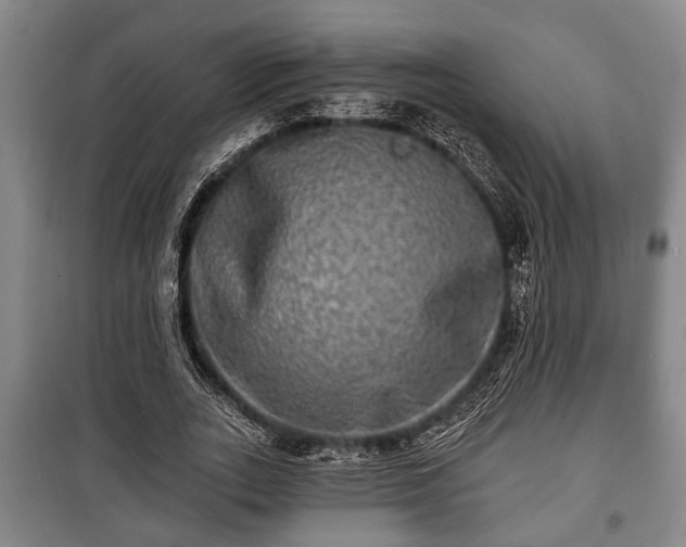 X0000100840727200806271112