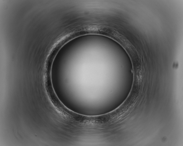 X0000100840728200806271112