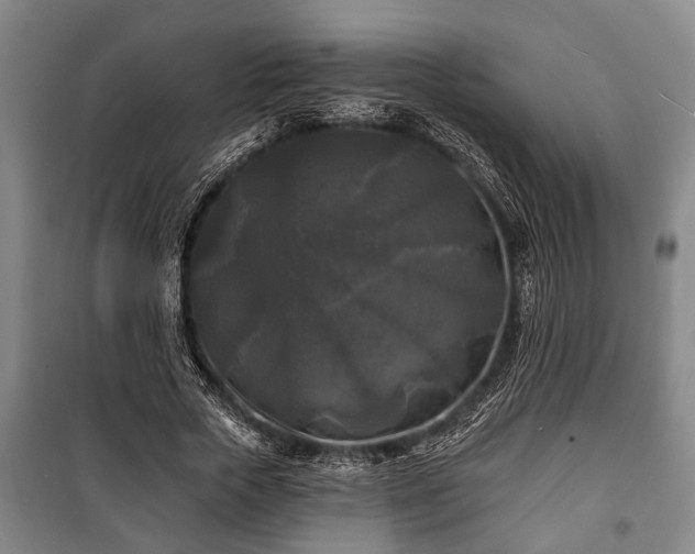 X0000100840729200806271112