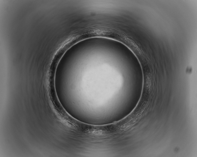 X0000100840730200806271112