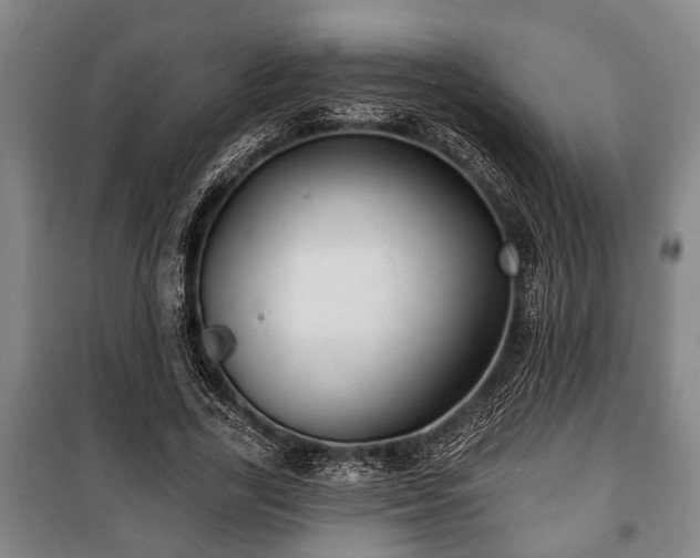 X0000100840731200806271112