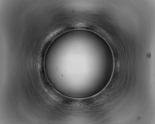 X0000100840732200806271112