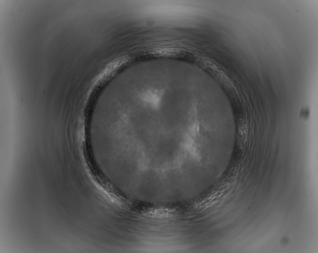 X0000100840734200806271112