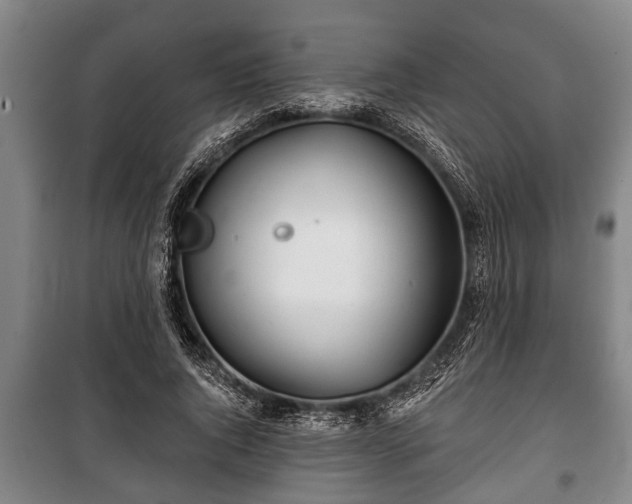 X0000100840736200806271112