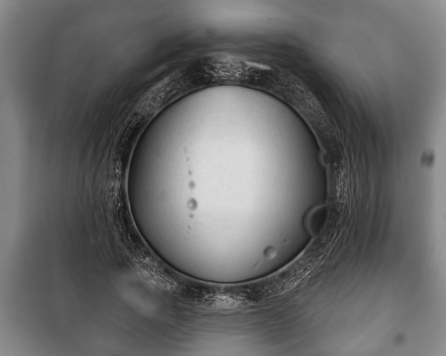 X0000100840737200806271112