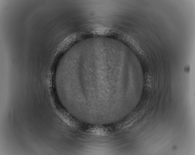 X0000100840738200806271112