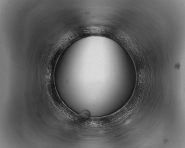 X0000100840739200806271112