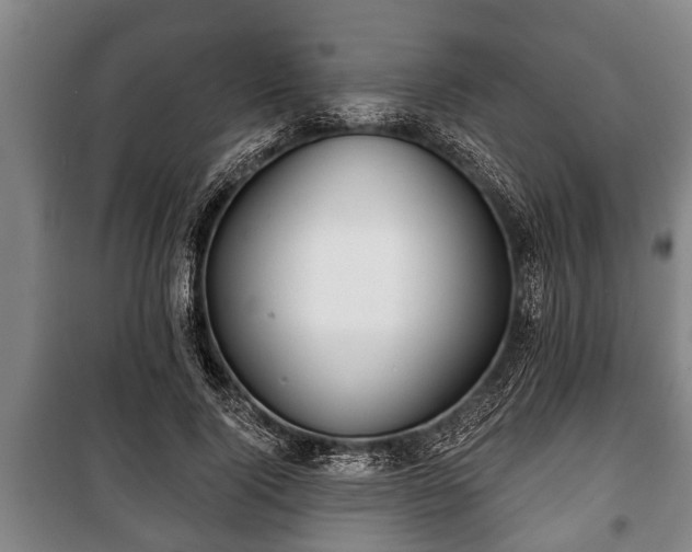 X0000100840740200806271112