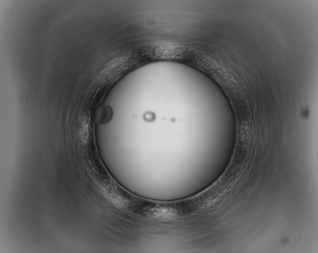 X0000100840741200806271112