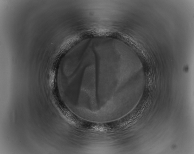 X0000100840742200806271112