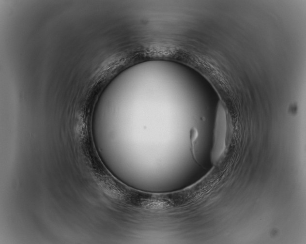 X0000100840743200806271112