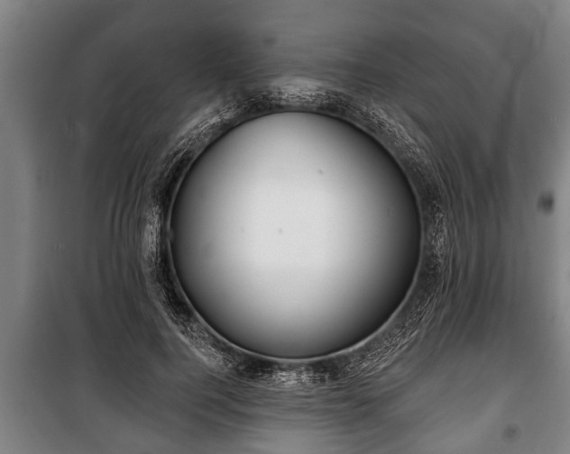 X0000100840744200806271112