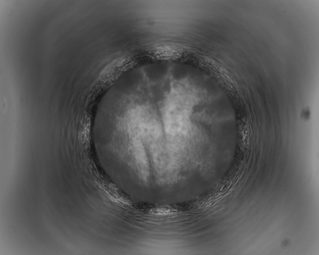 X0000100840745200806271112