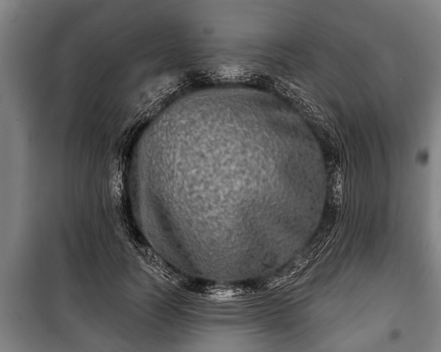 X0000100840746200806271112