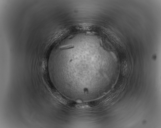 X0000100840747200806271112