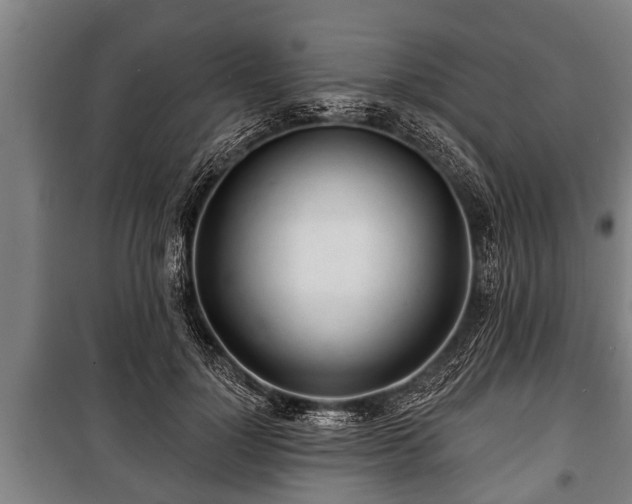 X0000100840748200806271112