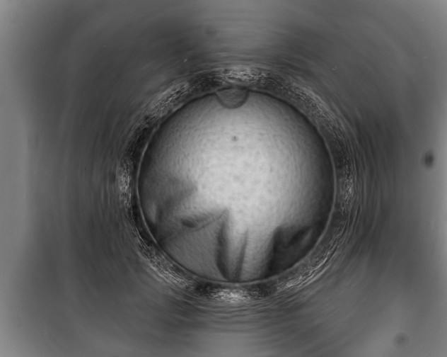 X0000100840749200806271112