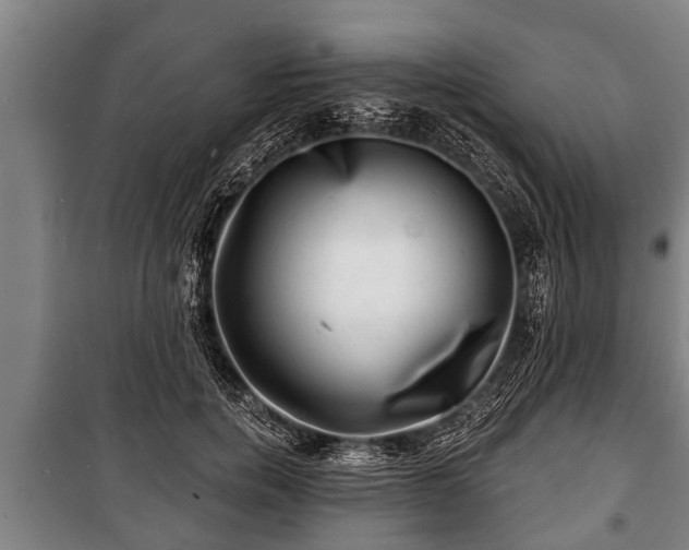 X0000100840750200806271112