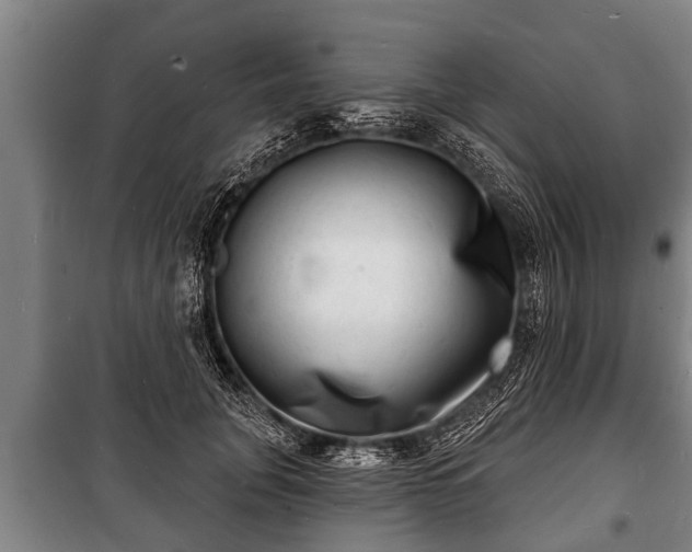 X0000100840751200806271112