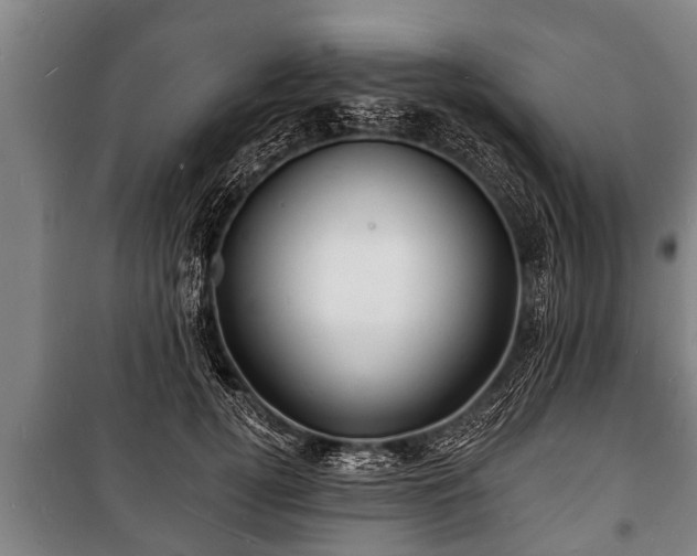 X0000100840752200806271112