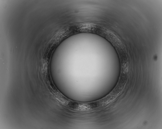 X0000100840753200806271112