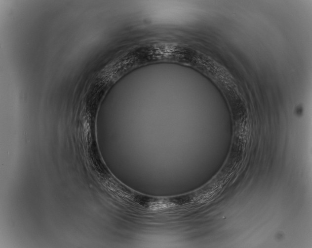 X0000100840754200806271112