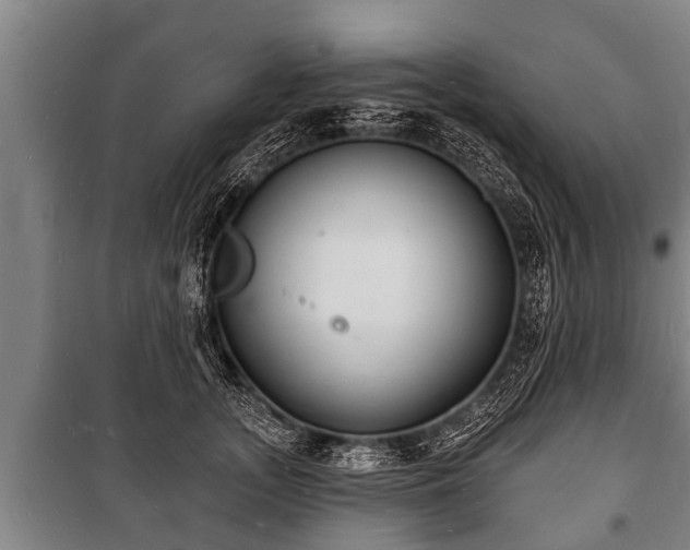 X0000100840755200806271112