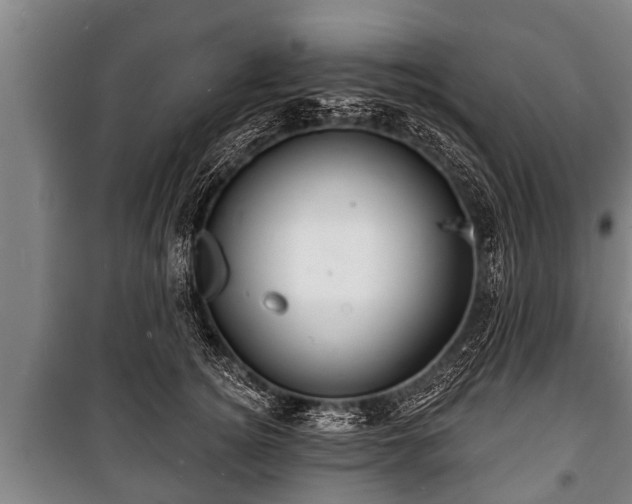 X0000100840756200806271112