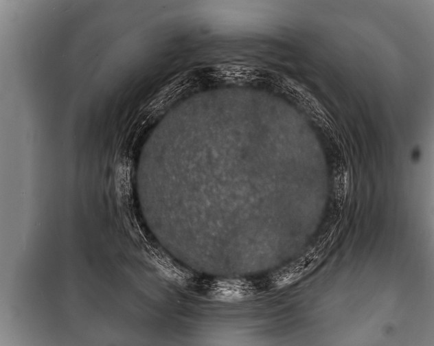 X0000100840757200806271112