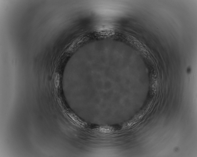 X0000100840758200806271112