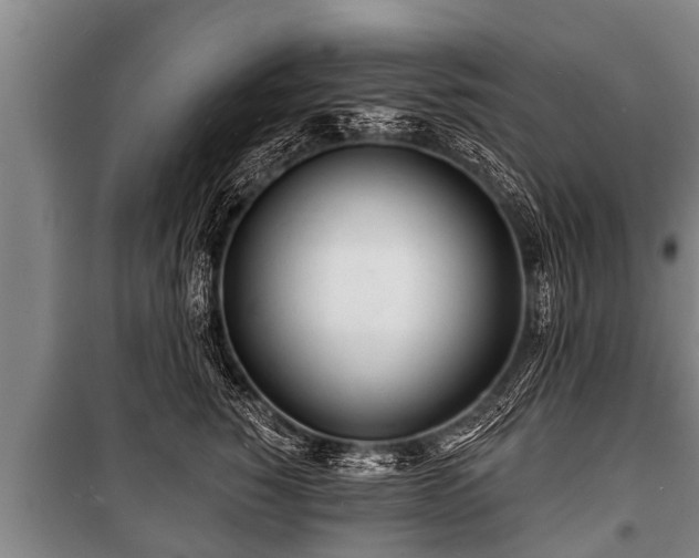 X0000100840760200806271112