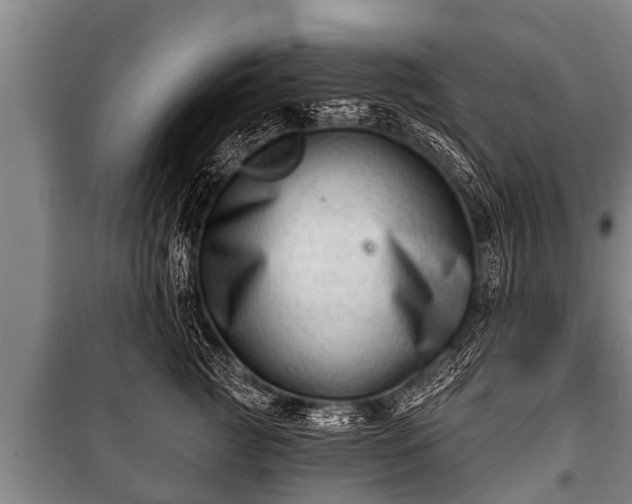 X0000100840761200806271112