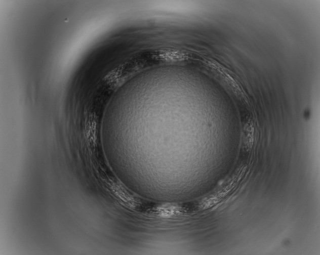 X0000100840762200806271112