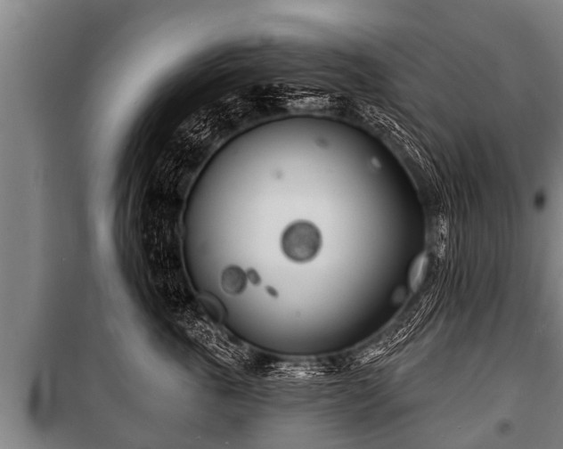 X0000100840763200806271112