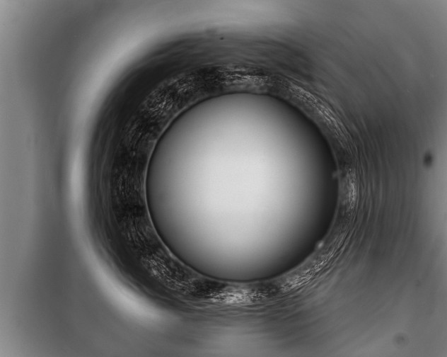 X0000100840764200806271112