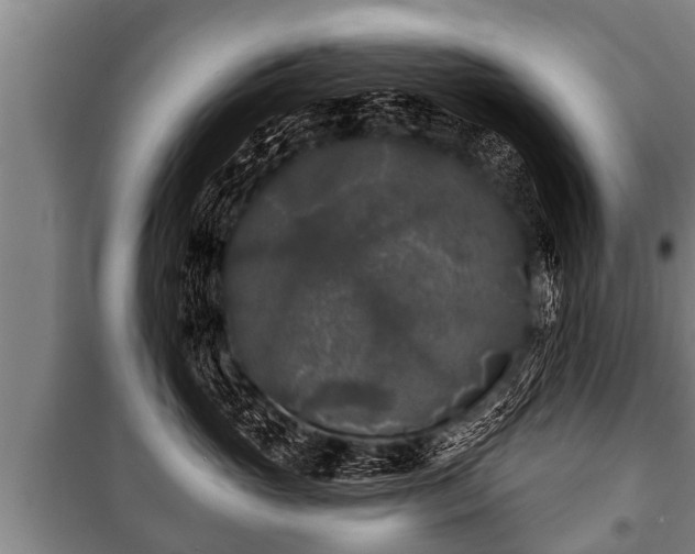 X0000100840765200806271112