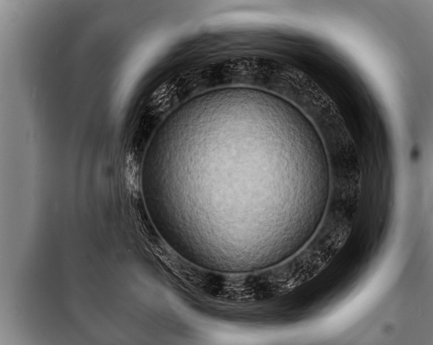 X0000100840766200806271112